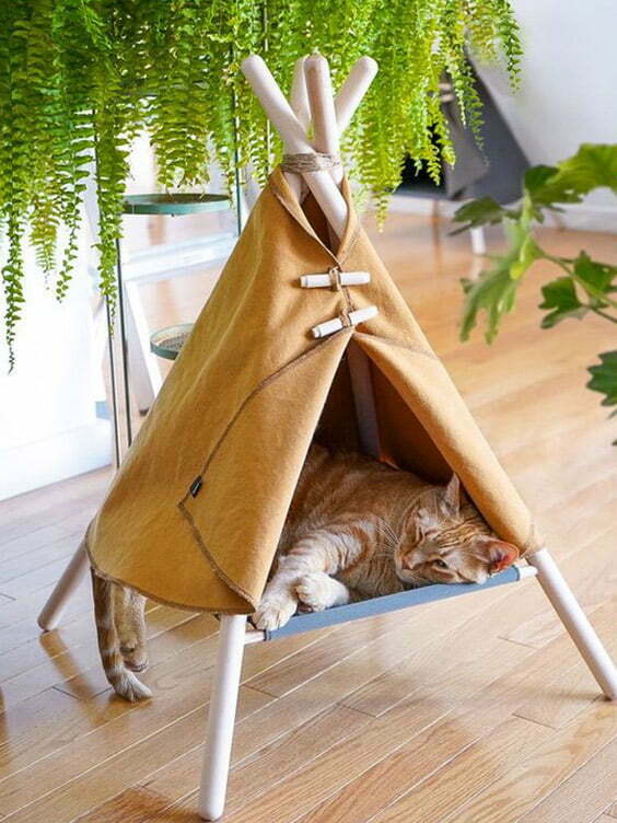Kış İçin Kedi ve Köpek Evi Yapımı - sokak kedisi için kedi evi