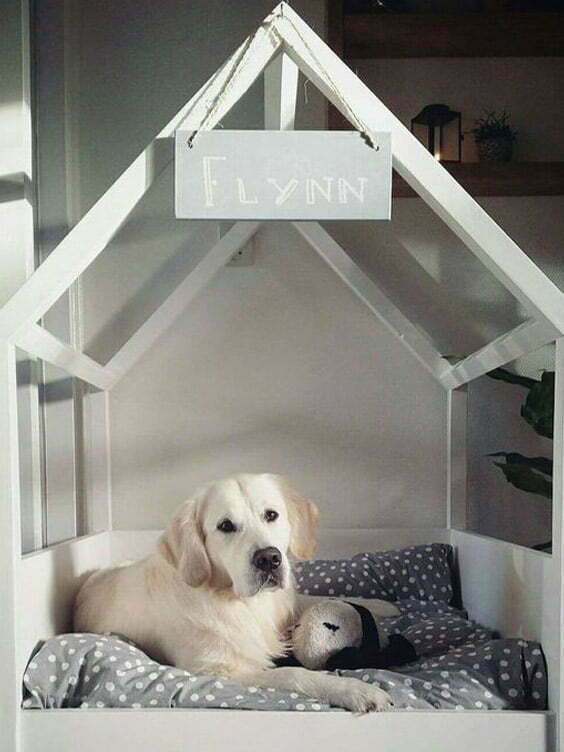 Kış İçin Kedi ve Köpek Evi Yapımı - ahşap kulübe köpek
